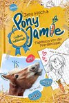 Pony Jamie - Einfach heldenhaft! (1). Tagebuch von der Pferdekoppel