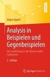 Analysis in Beispielen und Gegenbeispielen