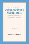 Consciousness and Change