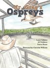 Mr. Greg's Ospreys