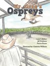 Mr. Greg's Ospreys