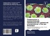 Social'nye i äkologicheskie preimuschestwa gorodskoj agroäkologii w Rio-de-Zhanejro