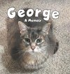 George