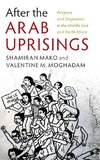 After the Arab Uprisings