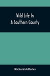 Wild Life In A Southern County