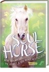 Soulhorse 2: Mein Traumpferd, der Ausritt und jede Menge Wolfsgeheul