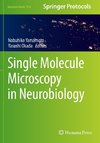 Single Molecule Microscopy in Neurobiology