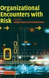 Organizational Encounters with Risk