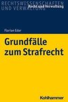 Grundfälle zum Strafrecht