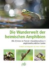 Die Wunderwelt der heimischen Amphibien