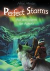 Perfect Storms