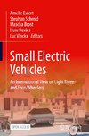 Small Electric Vehicles