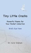 Tiny Little Cracks