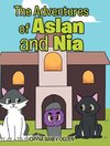 The Adventures of Aslan and Nia