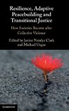 Resilience, Adaptive Peacebuilding and Transitional Justice