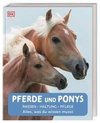 Pferde und Ponys