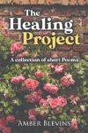 The Healing Project