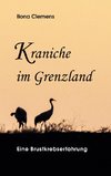 Kraniche im Grenzland