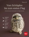 Vom Schlüpfen bis zum ersten Flug