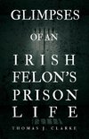 Glimpses of an Irish Felon's Prison Life