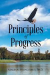 Principles of Progress