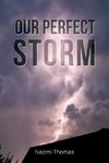 Our Perfect Storm