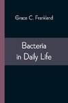 Bacteria in Daily Life