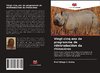 Vingt-cinq ans de programme de réintroduction du rhinocéros