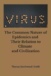 The Common Nature of Epidemics and Their Relation to Climate and Civilization