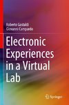 Electronic Experiences in a Virtual Lab