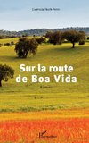 Sur la route de Boa Vida