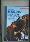 Harris Hawk