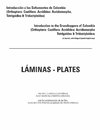 Introduccion a los saltamontes de Colombia (Laminas-Plates)