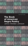 Book of American Negro Poetry