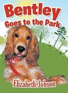 Bentley Goes to the Park