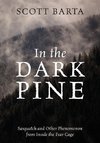 IN THE DARK PINE