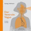 Der Ventrale Vagus