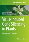 Virus-Induced Gene Silencing in Plants