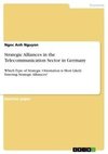 Strategic Alliances in the Telecommunication Sector in Germany