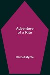 Adventure of a Kite