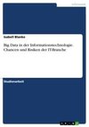 Big Data in der Informationstechnologie. Chancen und Risiken der IT-Branche