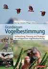 Grundwissen Vogelbestimmung