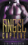 Angel Captive