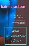 Erotic Accommodations, volume 1