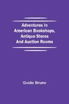 Adventures in American Bookshops, Antique Stores and Auction Rooms