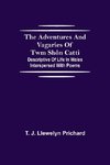 The Adventures and Vagaries of Twm Shôn Catti; Descriptive of Life in Wales