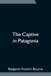 The Captive in Patagonia