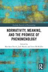 Normativity, Meaning, and the Promise of Phenomenology