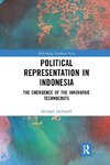 Political Representation in Indonesia