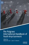 The Palgrave International Handbook of Youth Imprisonment